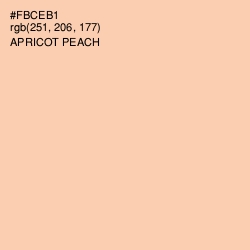 #FBCEB1 - Apricot Peach Color Image